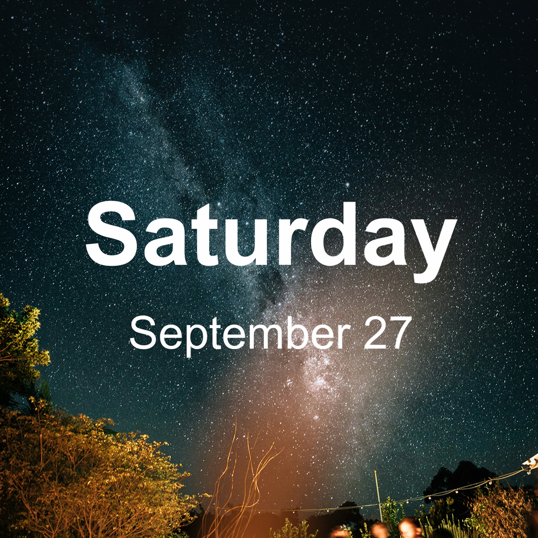 THNK FSTVL - Saturday only (includes dinner)